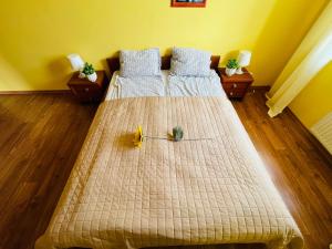 1 Schlafzimmer mit 2 Betten und 2 Pflanzen in der Unterkunft Apartament Słoneczny na Wydmie in Ustka
