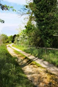 un camino de tierra con árboles y una valla en GREEN HOUSE, en Cavallino-Treporti