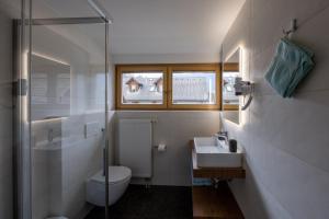 La salle de bains est pourvue de toilettes, d'un lavabo et d'une douche. dans l'établissement Apartments Brina, à Bohinj