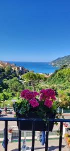 a pot of flowers sitting on top of a balcony at Ambrosea Amalfi Coast B&B in Vietri sul Mare