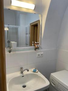W łazience znajduje się umywalka i lustro. w obiekcie Apt. overlooking the castle Nižbor20km from Prague w mieście Nižbor