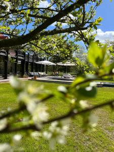 a view of a park with chairs and umbrellas at NaturApartments & Spa in Burg