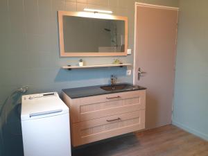 een kleine badkamer met een wastafel en een spiegel bij B5 - Mont St Martin - RDC in Mont-Saint-Martin