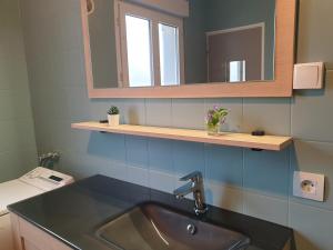 uma casa de banho com um lavatório e um espelho em B5 - Mont St Martin - RDC em Mont-Saint-Martin