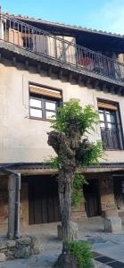 un árbol sentado frente a un edificio en Casa rural Adelaida, en Villanueva del Conde