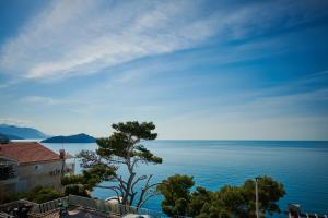 Φυσικό τοπίο κοντά σε αυτό το διαμέρισμα +38 φωτογραφίες
