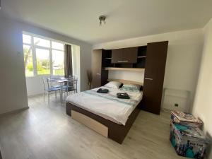 ein Schlafzimmer mit einem Bett und einem Tisch mit einem Stuhl in der Unterkunft Apartament Renata in Orşova