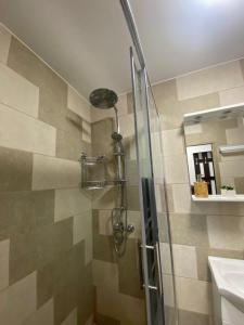ein Bad mit einer Dusche und einer Glastür in der Unterkunft Apartament Renata in Orşova