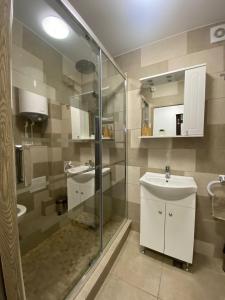 uma casa de banho com uma cabina de duche em vidro e um lavatório. em Apartament Ana em Orşova