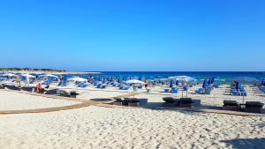 a beach with chairs and umbrellas and the ocean at Tsokkos Paradise Holiday Village in Ayia Napa