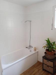 a white bath tub in a room with a plant at Maison au pays des lavandes et de la vigne in Pierrevert