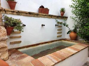 a small pool of water next to a wall with potted plants at ALHAJAS DE CORDOBA in Córdoba