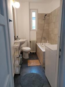 a bathroom with a toilet and a tub and a sink at Evergreen Condo in Braşov