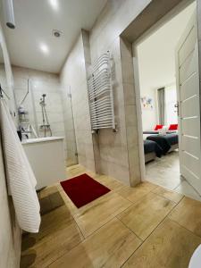 a bathroom with a shower and a red rug on the floor at Gladiator Noclegi Zator II in Zator