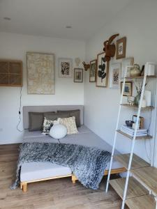 a bedroom with a bed and a ladder and a shelf at Tiny house with greenhouse dining in Lower Hutt