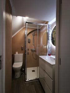 uma casa de banho com um WC, um chuveiro e um lavatório. em Apartamento MS em Campo Maior