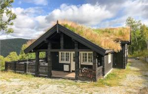 une petite cabine avec un toit en gazon sur un champ dans l'établissement Awesome Home In Geilo With Sauna, à Skoro