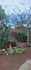 Fotografie z fotogalerie ubytování Beautiful Bungalow en VV con wifi,netflix cerca del mar v destinaci Las Galletas