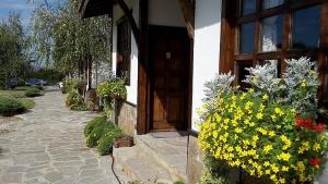 Φωτογραφία από το άλμπουμ του Complex Barite σε Srazimir