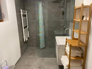 un bagno con doccia e lavandino di Haus Elke a Hard