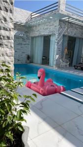 un grand flotteur rose dans une piscine dans l'établissement شاليه الملكيه, à Barka