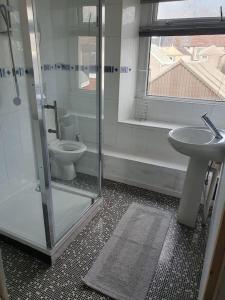 ein Bad mit einem WC, einem Waschbecken und einer Dusche in der Unterkunft Large home Swansea in Swansea