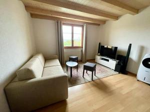 a living room with a couch and a tv at Appartement Claude in Châtillon