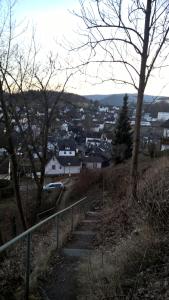 Příroda nedaleko apartmánu