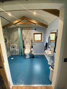 a bathroom with a toilet and a sink at Hafan y Mynydd - Accessible double shepherd hut in Machynlleth