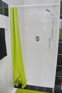 a shower with a green curtain in a bathroom at Ferienwohnung Hof Konietzke in Thale
