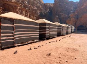 Fotografie z fotogalerie ubytování saleem with jeep tour v destinaci Wadi Rum