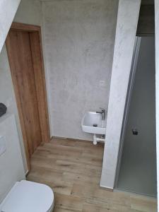 a bathroom with a toilet and a sink at RYBÁŘSKÁ CHALUPA in Horní Stropnice