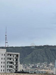 a view of a city with a hill in the background at ბინა131 in Tbilisi City