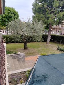 un jardín con un árbol y un parque con una acera en Affittacamere Villa Sofia con uso cucina e ampio giardino, en Calcinelli