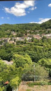 una ciudad en la cima de una colina con árboles en Loft moderne au cœur de l’Auvergne, en Thiers