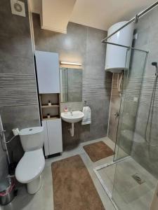 a bathroom with a toilet and a sink and a shower at Apartman Rojal Vranje in Vranje