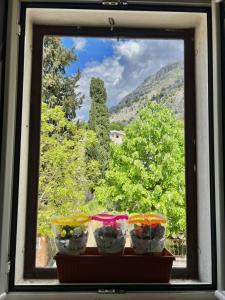 a window with four bowls on a window sill at Apartment Kiki in Kotor
