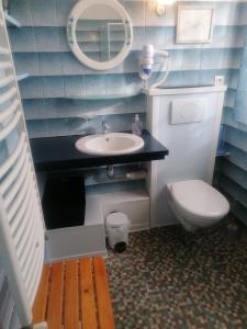 a bathroom with a sink and a toilet at Gaillarde in Brive-la-Gaillarde