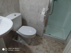 a bathroom with a toilet and a shower and a sink at Hostal Fisterra in Lugo