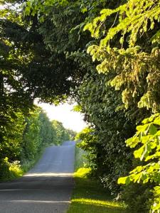 un camino con árboles a su lado en Fred og Ro Ferielejlighed, 