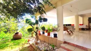 una casa con un porche con macetas en un patio en Fun Guest House with Pool near Troodos en Perapedhi
