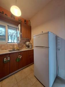 a kitchen with a white refrigerator and a sink at Rivers' house Tzoumerka in Palaiokátounon