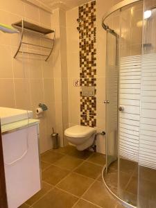 a bathroom with a toilet and a glass shower at ölüdeniz moonstar in Fethiye