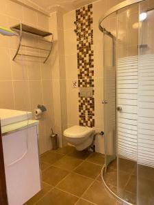 een badkamer met een toilet en een glazen douche bij ölüdeniz moonstar in Fethiye