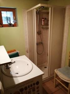 La salle de bains est pourvue d'un lavabo et d'une douche. dans l'établissement Maison de montagne, à Borce