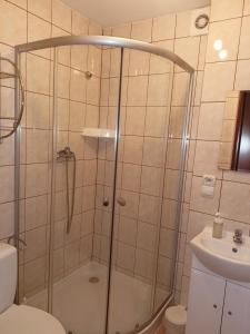 een badkamer met een douche, een toilet en een wastafel bij Pokoje Gościnne U Kowala in Polańczyk