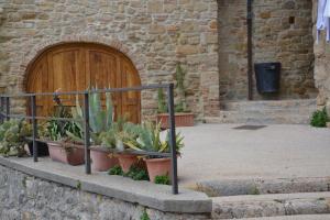 a bunch of plants in front of a wooden door at Il nido dei Priori in Volterra