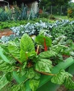 A garden outside Schmankerl und Gast