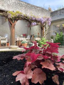 Zahrada ubytování Hotel de la Sologne