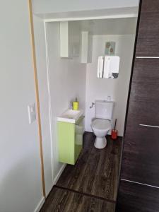 a bathroom with a toilet and a green cabinet at Les Tourtereaux in Tarnos